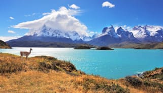 Cuáles son los requisitos para viajar a Chile
